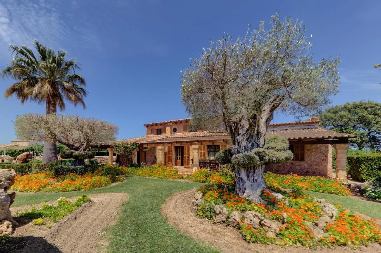 Ses Contesas Villa Alcudia
